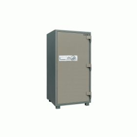 Safe DS150E