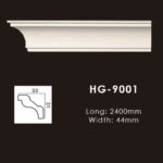 Model HG9001
