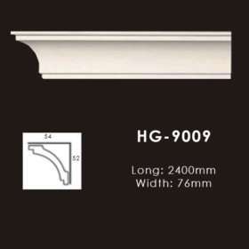 Model HG9009