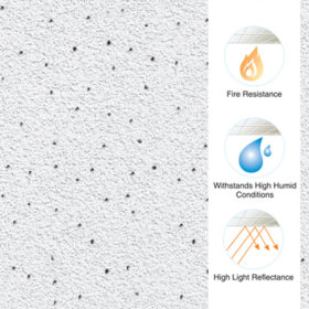 Acoustic Ceiling Tiles