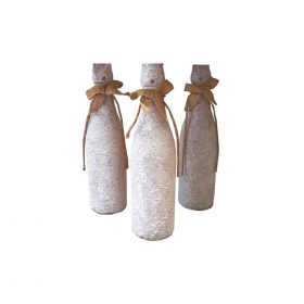 Vase Bottle x1