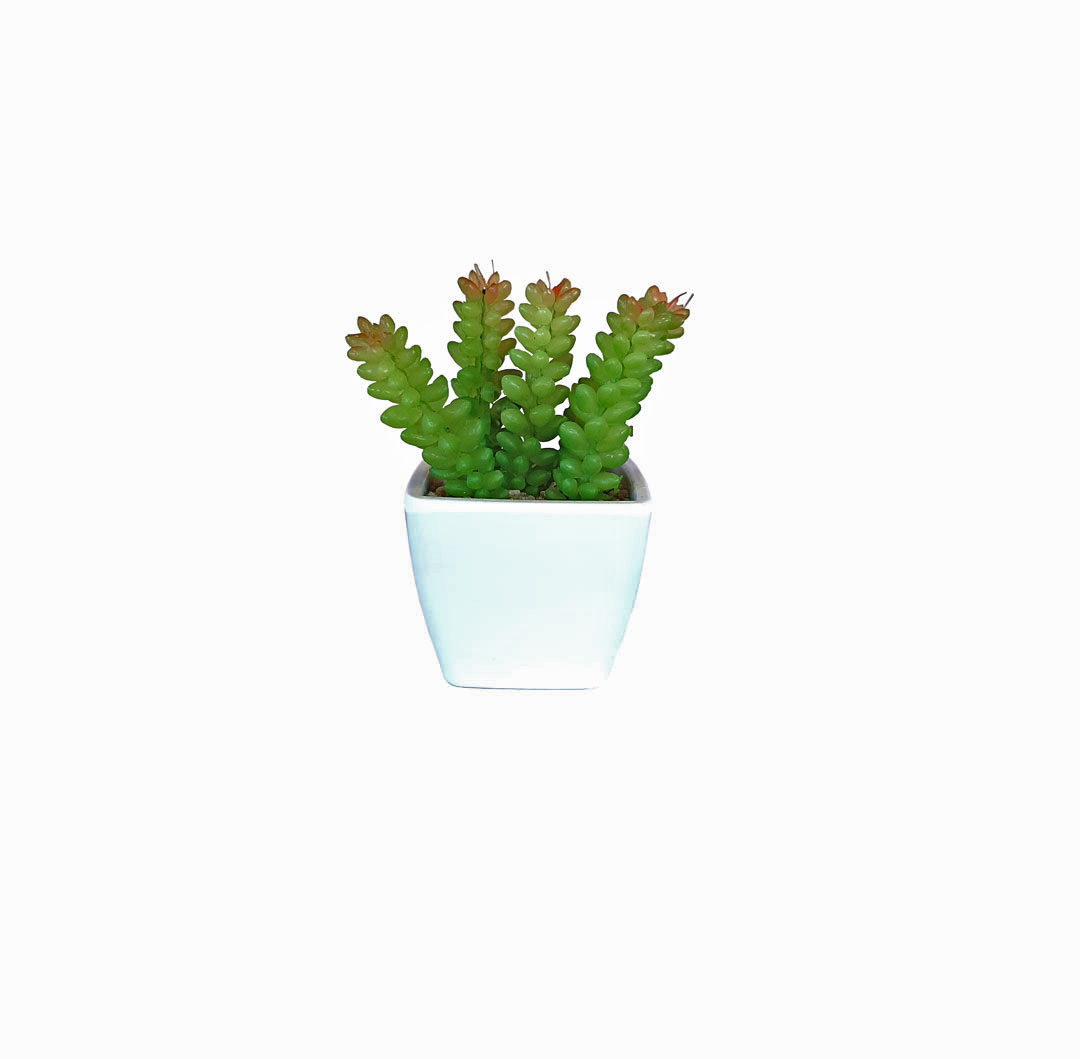 Cactus Replica Ceramic Pot2 – Neel Group