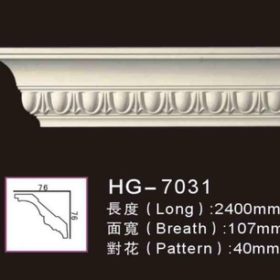 Model HG7038